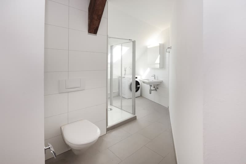 Cozy nearly new 3.5 room attic apartment 2nd floor (8)