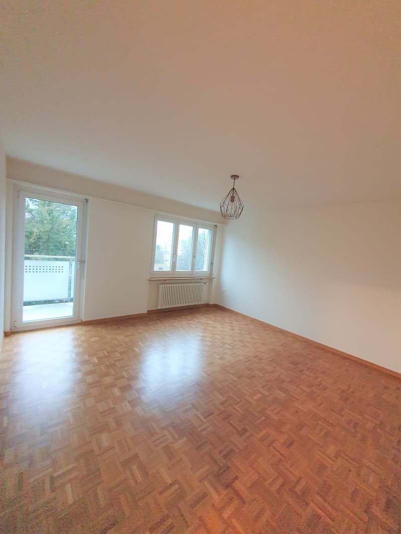 empty room, wooden floor, white walls, sliding glass door, balcony, windows, radiator