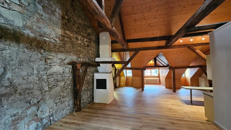 sehr charmante 2,5 Zimmer-Dachwohnung im 3.OG (3)