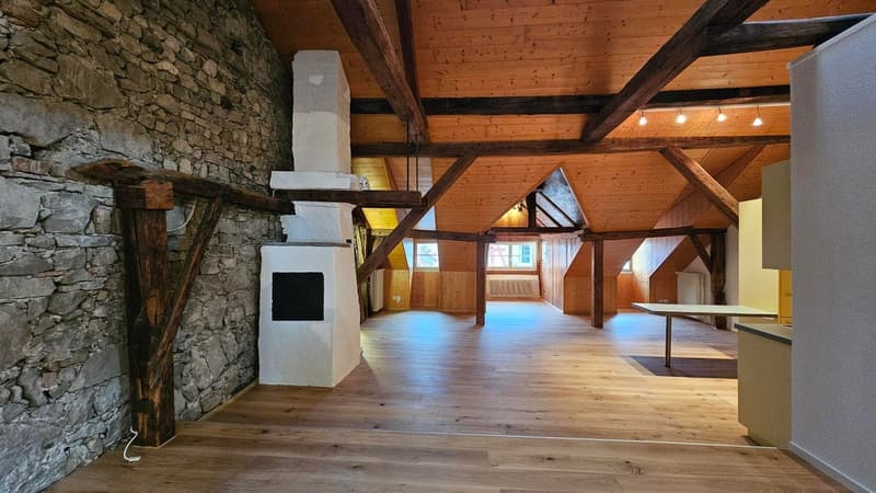 sehr charmante 2,5 Zimmer-Dachwohnung im 3.OG (2)