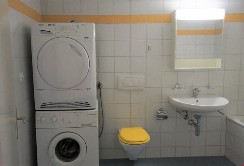 sehr charmante 2,5 Zimmer-Dachwohnung im 3.OG (6)