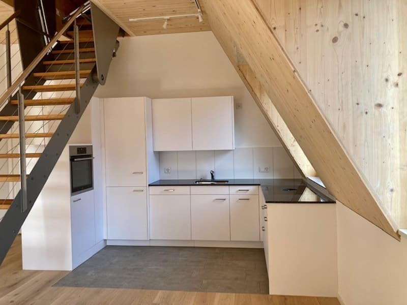 Appartamento mansardato di 2,5 locali 59m2 con terrazza sul tetto 60m2 (1)