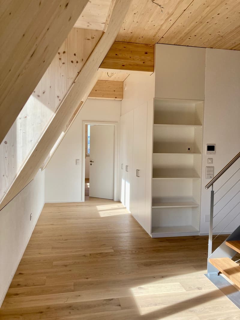 Appartamento mansardato di 2,5 locali 59m2 con terrazza sul tetto 60m2 (4)
