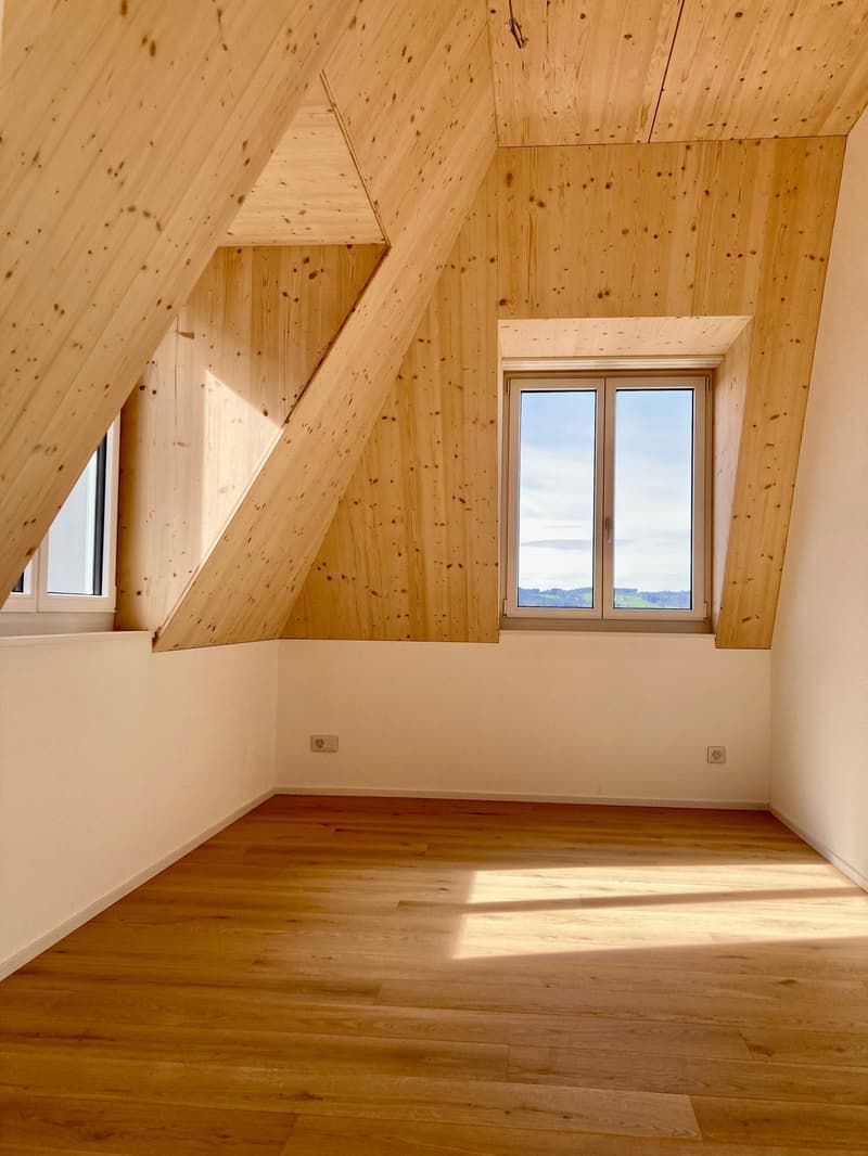 Appartamento mansardato di 2,5 locali 59m2 con terrazza sul tetto 60m2 (6)