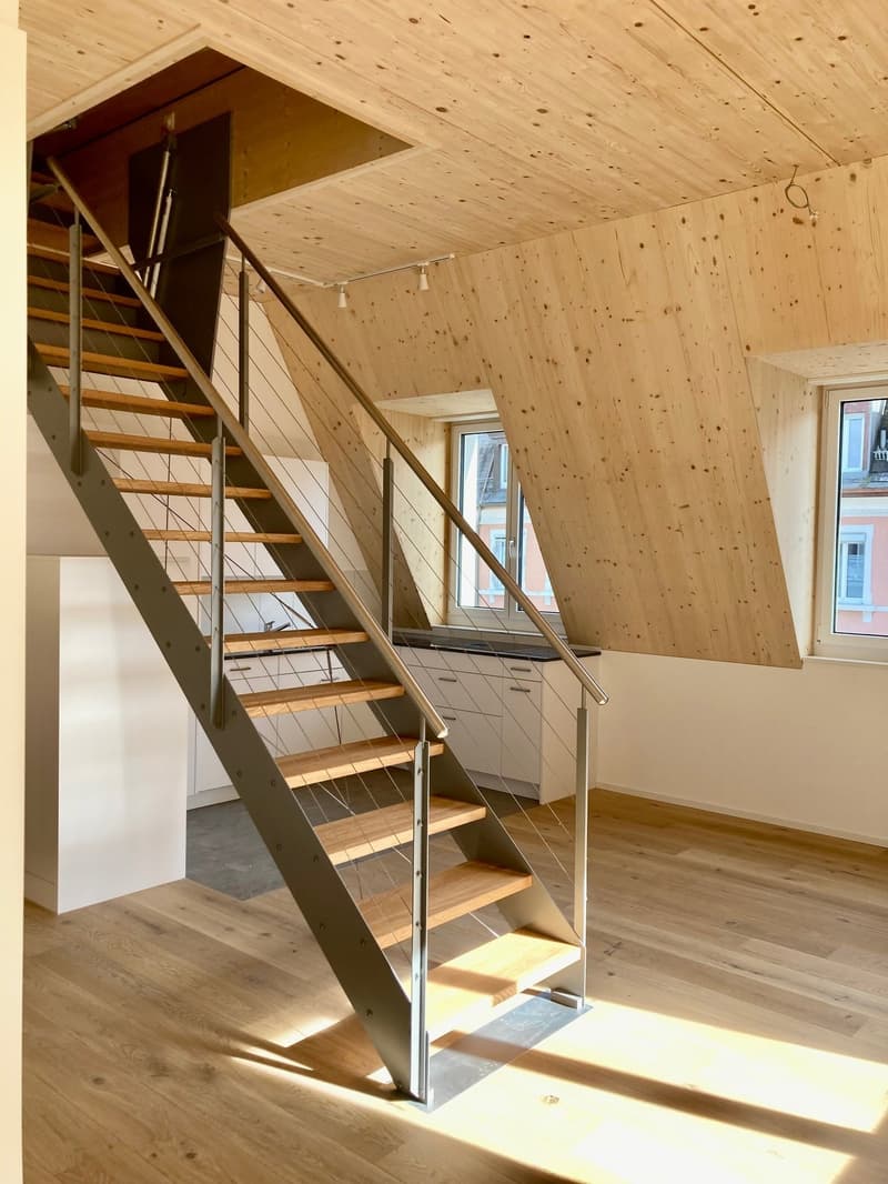 Appartamento mansardato di 2,5 locali 59m2 con terrazza sul tetto 60m2 (3)