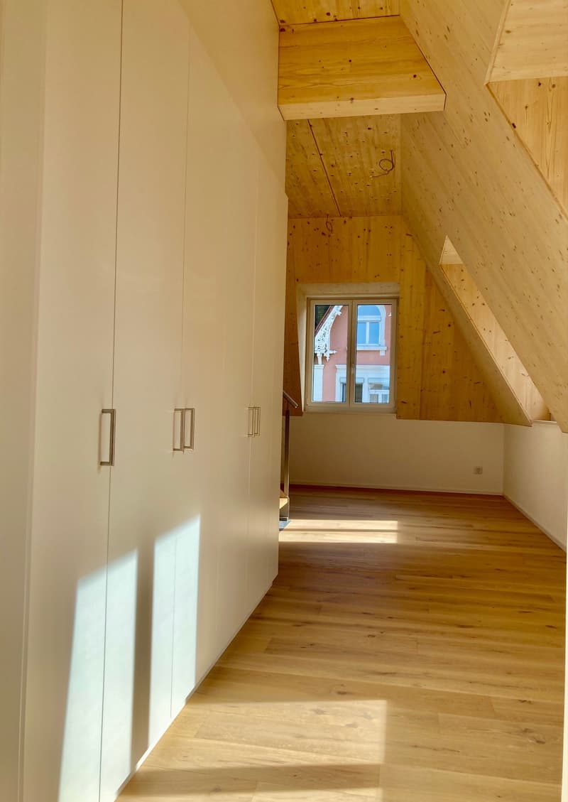 Appartamento mansardato di 2,5 locali 59m2 con terrazza sul tetto 60m2 (7)
