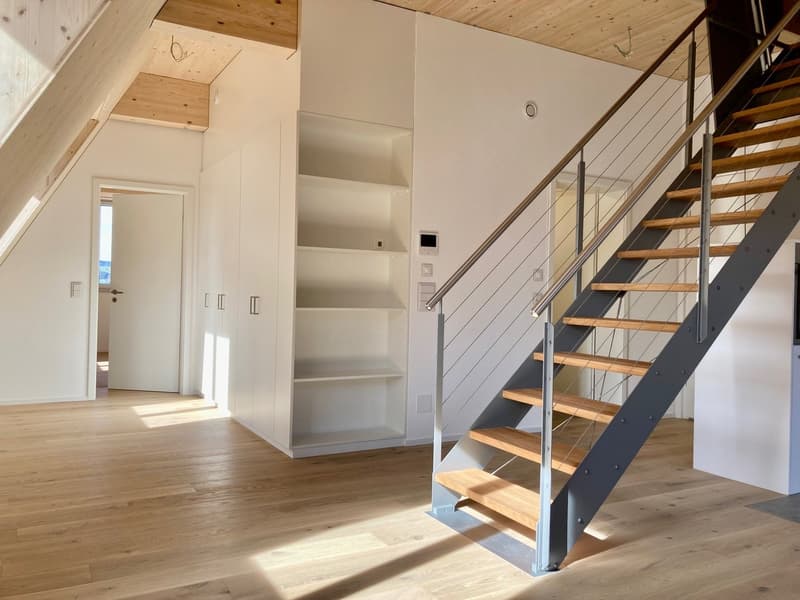 Appartamento mansardato di 2,5 locali 59m2 con terrazza sul tetto 60m2 (2)