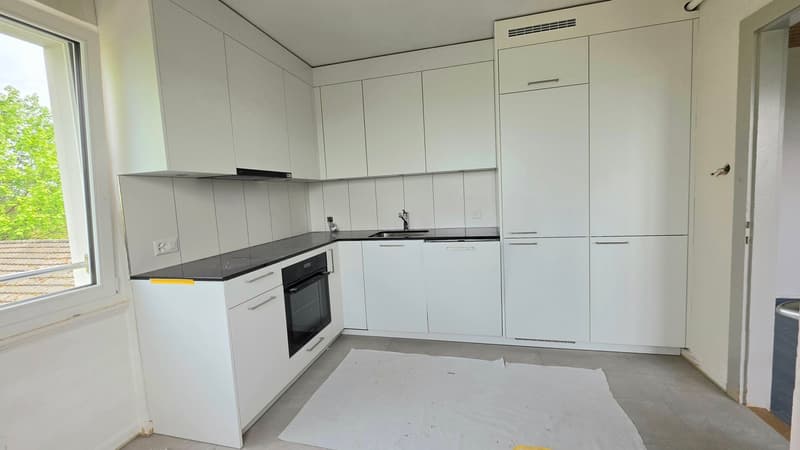 Appartement 3.5 pièces 1er étage est avec vue sur le lac et terrasse (3)