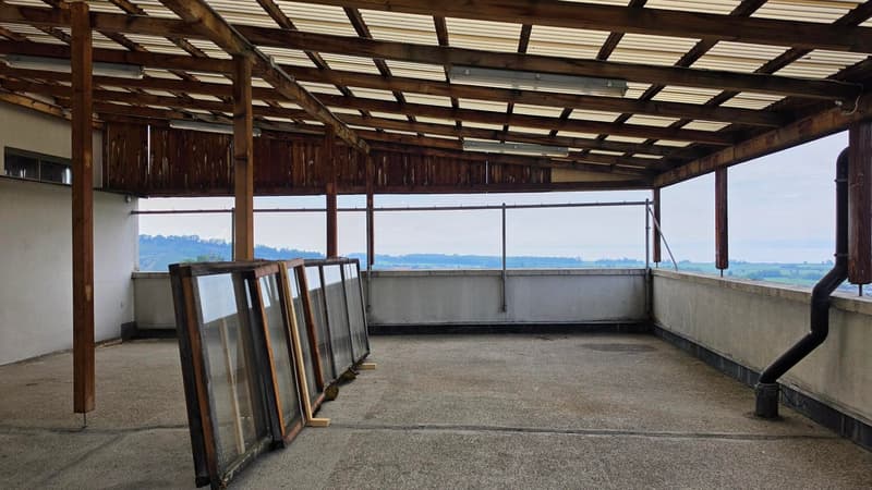 Appartement 3.5 pièces 1er étage est avec vue sur le lac et terrasse (7)