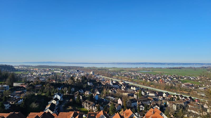 Appartement 3.5 pièces 1er étage est avec vue sur le lac et terrasse (10)