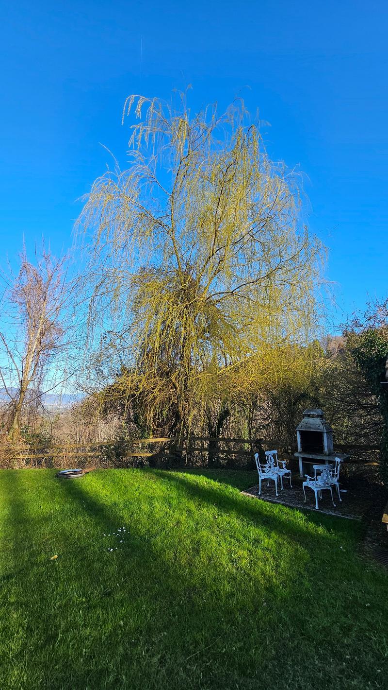 Appartement 3.5 pièces 1er étage est avec vue sur le lac et terrasse (12)