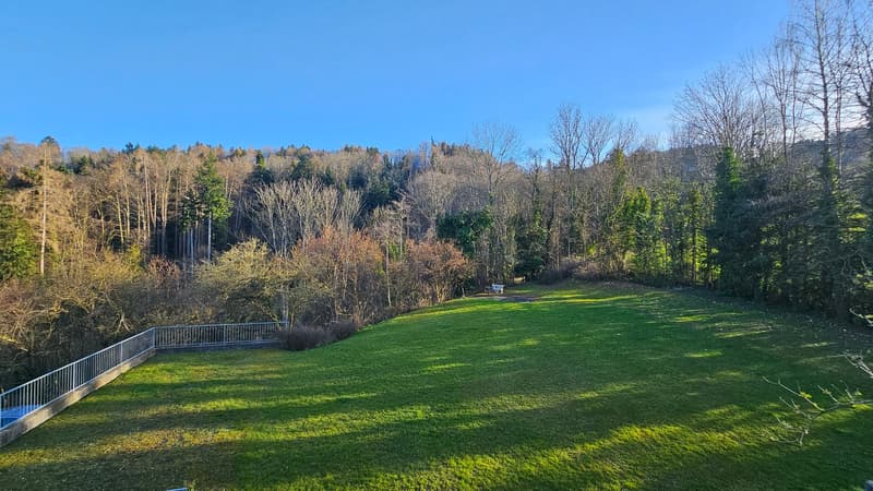 Appartement 3.5 pièces 1er étage est avec vue sur le lac et terrasse (14)