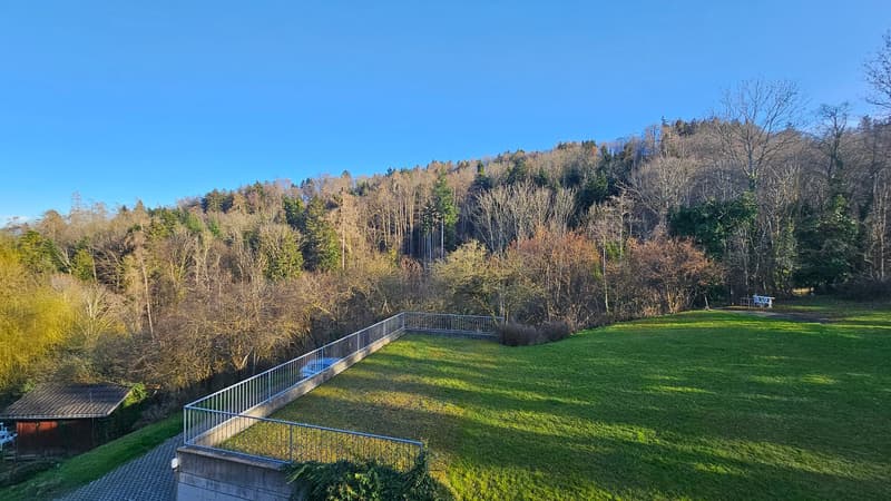 Appartement 3.5 pièces 1er étage est avec vue sur le lac et terrasse (13)