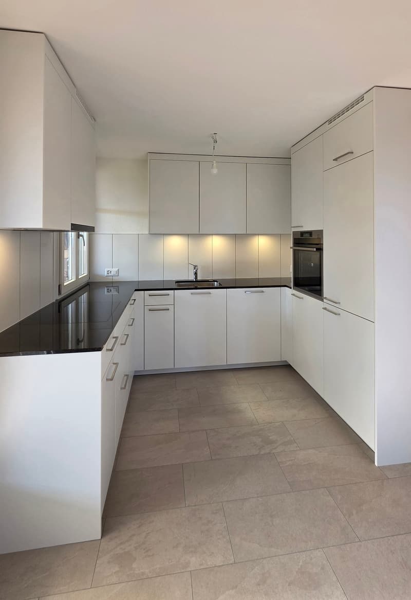 Appartamento mansardato di 3,5 locali 109m2 al 4° piano con grande terrazza 36m2 (4)