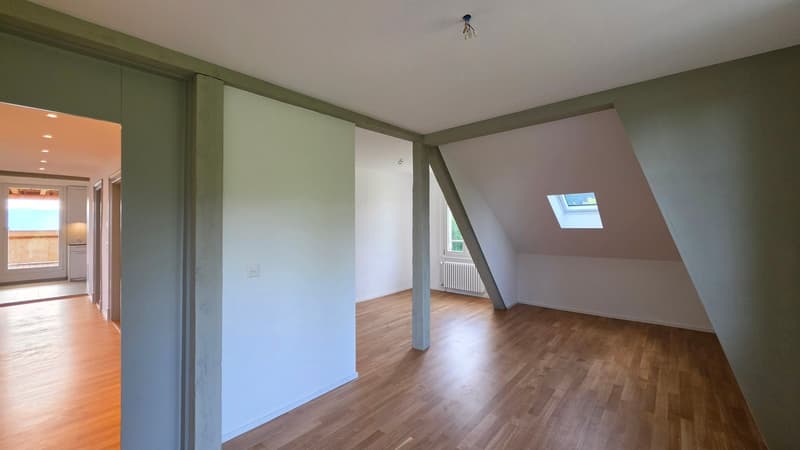 Appartamento mansardato di 3,5 locali 109m2 al 4° piano con grande terrazza 36m2 (12)