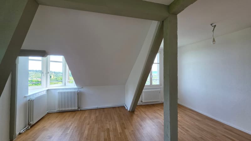 Appartamento mansardato di 3,5 locali 109m2 al 4° piano con grande terrazza 36m2 (15)