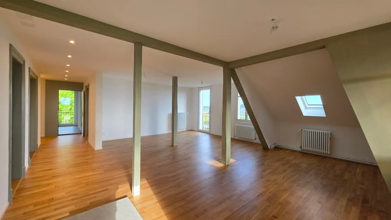 Appartamento mansardato di 3,5 locali 109m2 al 4° piano con grande terrazza 36m2 (5)