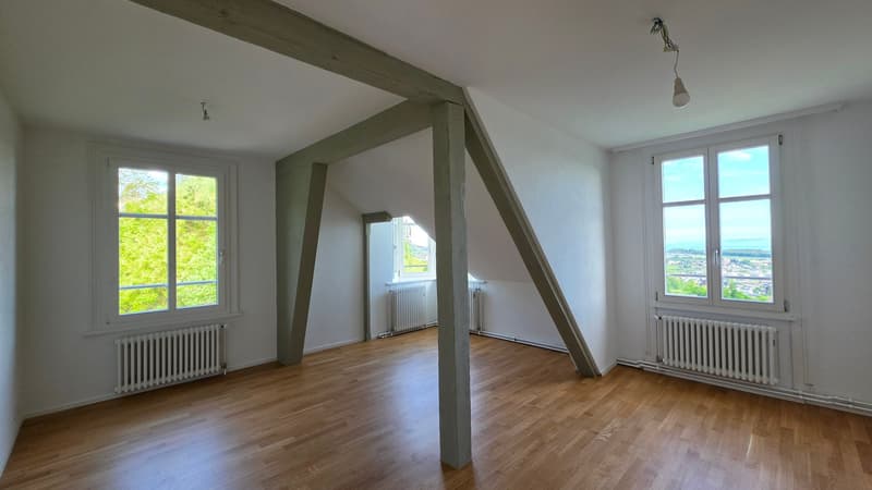 Appartamento mansardato di 3,5 locali 109m2 al 4° piano con grande terrazza 36m2 (14)