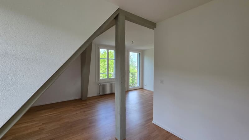 Appartamento mansardato di 3,5 locali 109m2 al 4° piano con grande terrazza 36m2 (13)