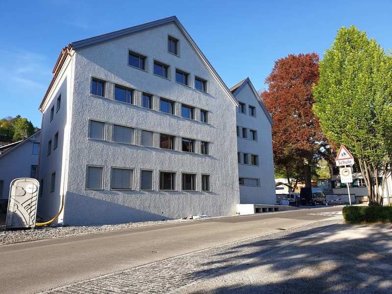 Appartamento mansardato originale di 3,5 locali Ovest – 92,81 m2 (14)