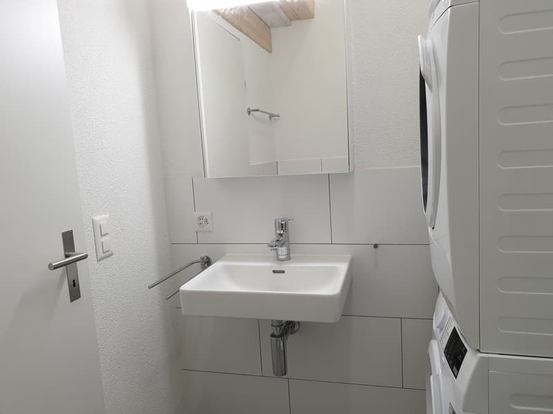 Appartamento mansardato originale di 3,5 locali Ovest – 92,81 m2 (11)