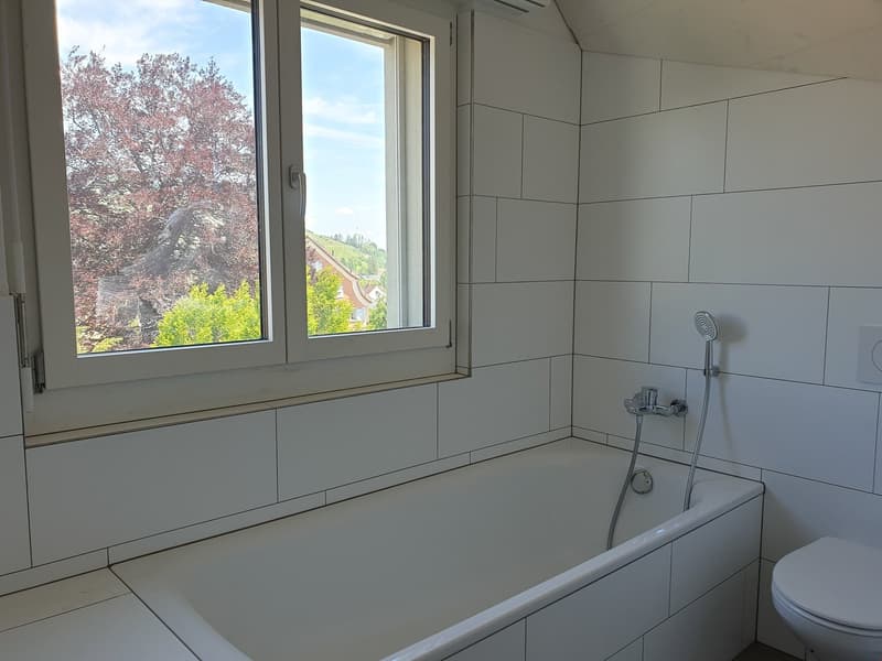 Appartamento mansardato originale di 3,5 locali Ovest – 92,81 m2 (9)