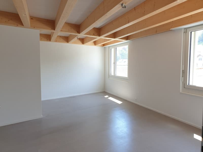 Appartamento mansardato originale di 3,5 locali Ovest – 92,81 m2 (7)