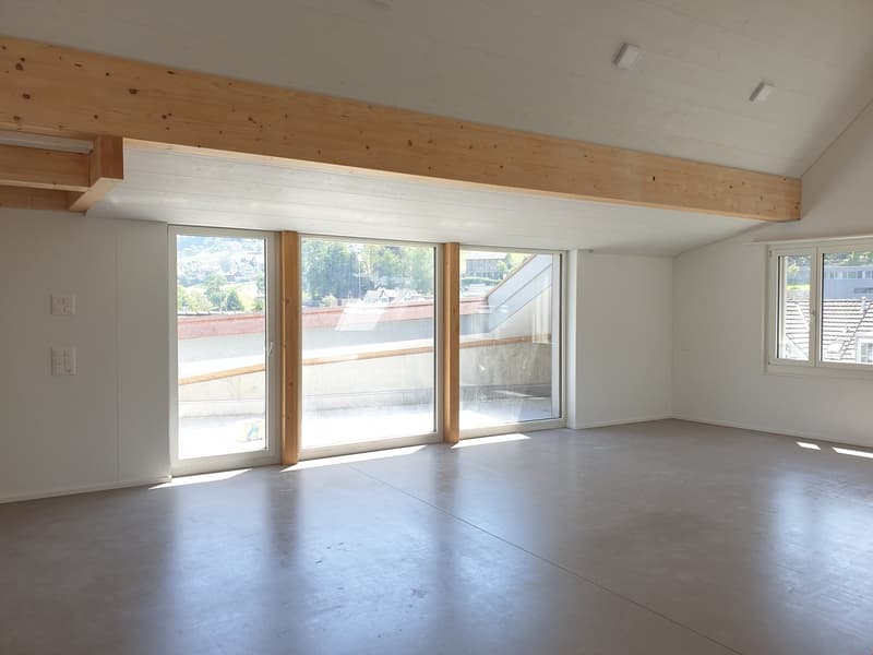 Appartamento mansardato originale di 3,5 locali Ovest – 92,81 m2 (4)