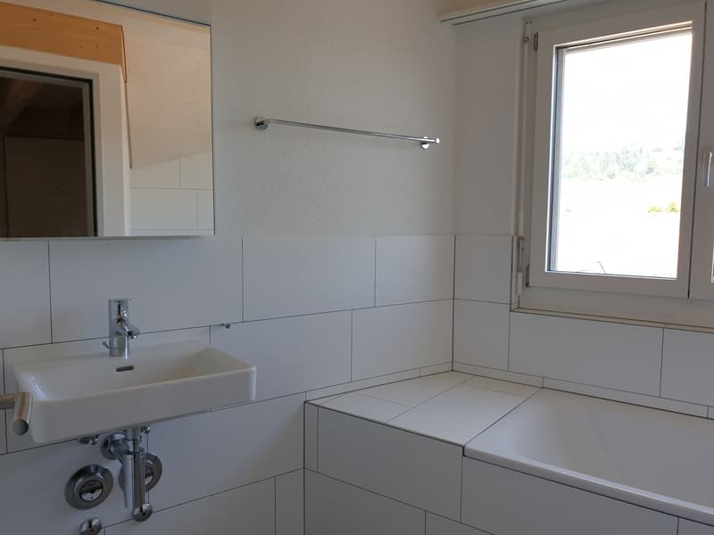 Appartamento mansardato originale di 3,5 locali Ovest – 92,81 m2 (10)