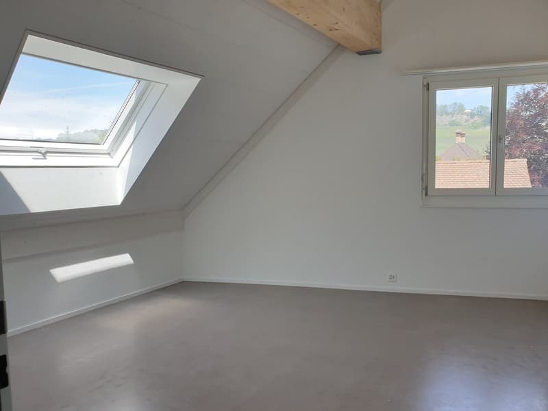Appartamento mansardato originale di 3,5 locali Ovest – 92,81 m2 (8)