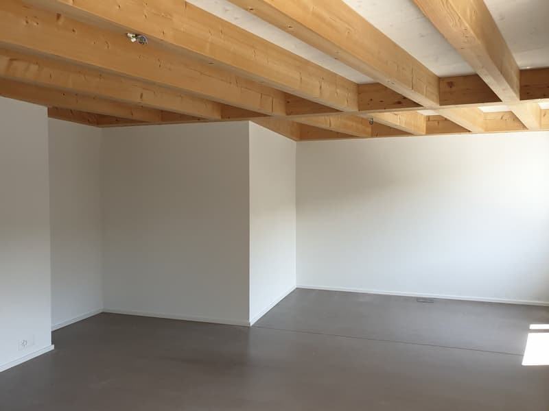 Appartamento mansardato originale di 3,5 locali Ovest – 92,81 m2 (6)