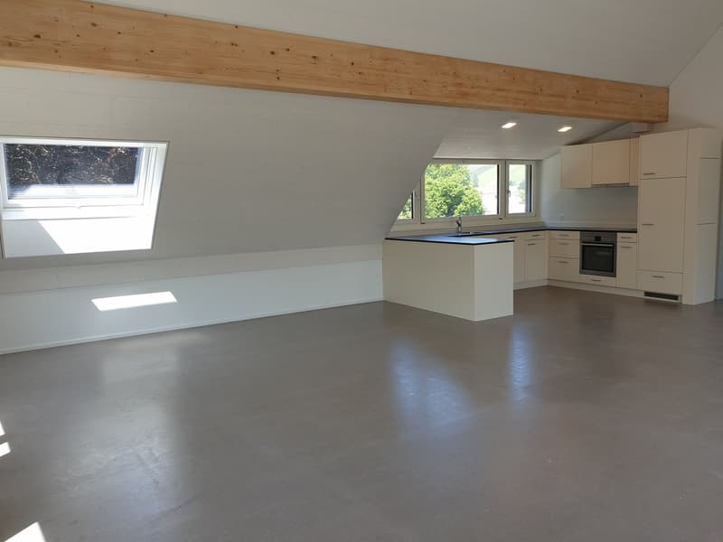 Appartamento mansardato originale di 3,5 locali Ovest – 92,81 m2 (3)