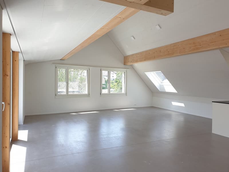 Appartamento mansardato originale di 3,5 locali Ovest – 92,81 m2 (1)
