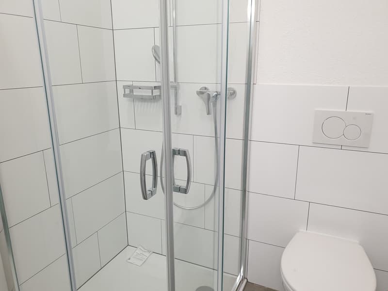 Appartamento mansardato originale di 3,5 locali Ovest – 92,81 m2 (12)