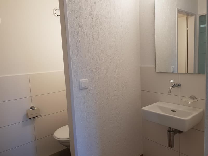 Appartamento 4,5 locali 2° piano est con balcone (7)