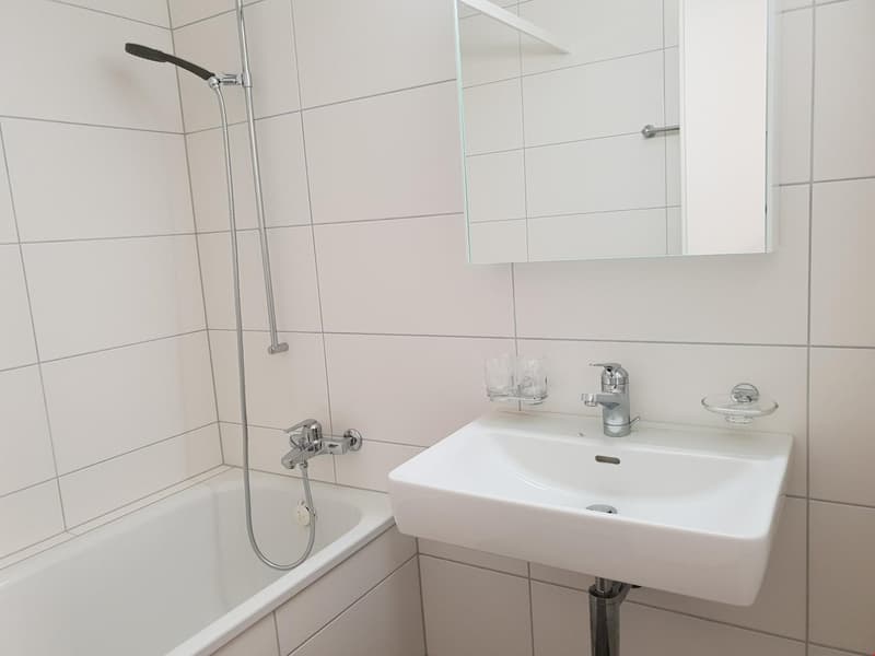 Appartamento 4,5 locali 2° piano est con balcone (6)