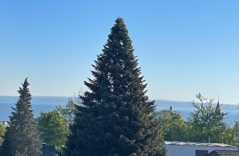 Appartement en attique 5,5 pièces avec grande terrasse à louer - MFH Lotty (3)