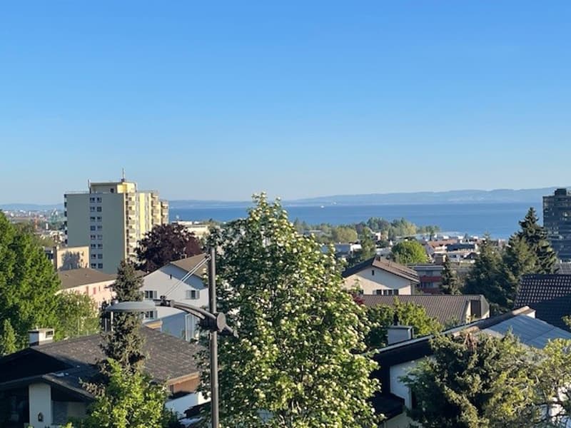 Appartement en attique 5,5 pièces avec grande terrasse à louer - MFH Lotty (5)
