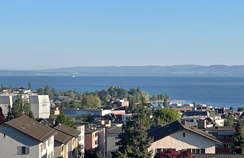 Appartement en attique 5,5 pièces avec grande terrasse à louer - MFH Lotty (2)