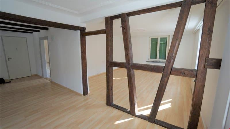 4.5-room apartment on the 1st floor (1)