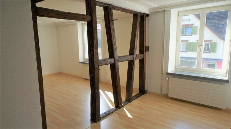 4.5-room apartment on the 1st floor (2)