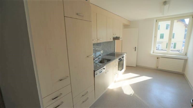 4.5-room apartment on the 1st floor (5)