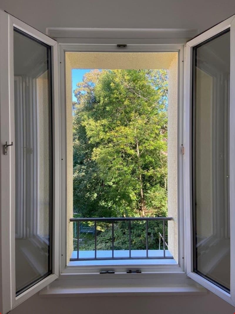 4.0 bedroom apartment 1st floor with west-facing balcony (6)