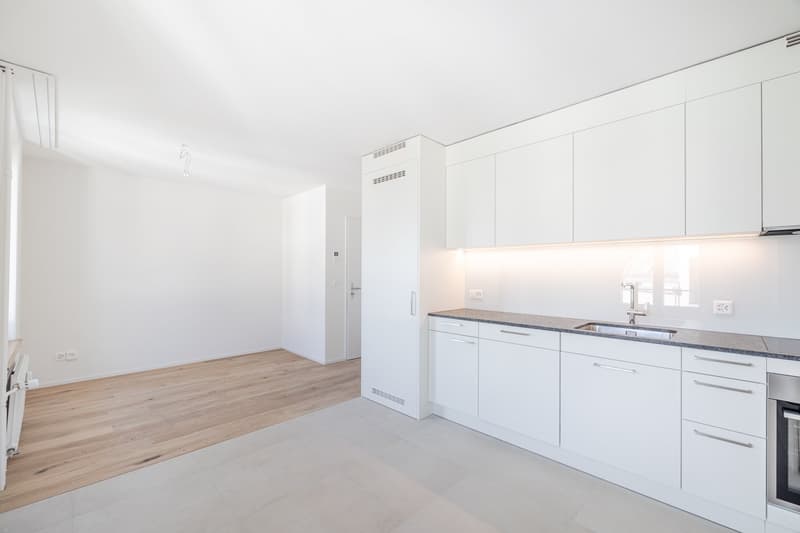 neuwertige 2.0 Zimmer-Wohnung im 3. OG ohne Balkon (4)
