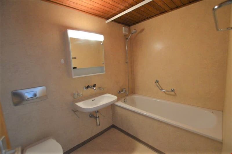 4.0-room apartment on the high ground floor (7)