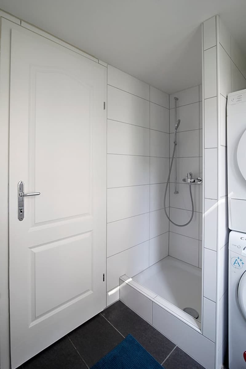 2.5-room apartment on the 1st floor for rent (5)