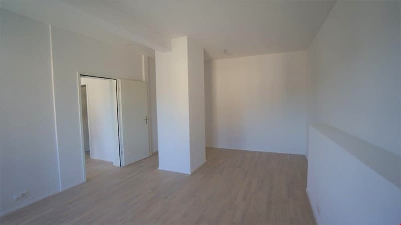 Newly valued 2.5 room apartment on the ground floor for rent (5)