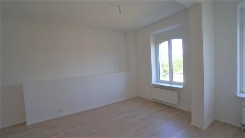 Newly valued 2.5 room apartment on the ground floor for rent (7)