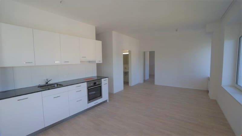 Newly valued 2.5 room apartment on the ground floor for rent (2)