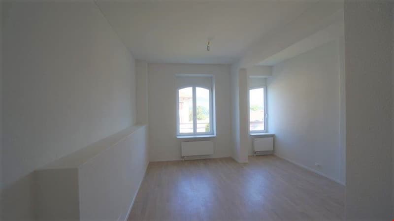 Newly valued 2.5 room apartment on the ground floor for rent (6)